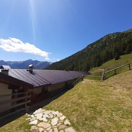 Hotel Restor Natura Malga Mondent Pracorno di Rabbi Exterior foto