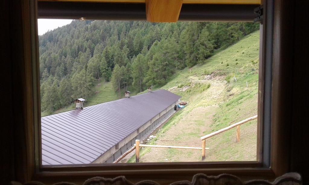 Hotel Restor Natura Malga Mondent Pracorno di Rabbi Exterior foto